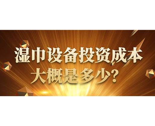濕巾設(shè)備投資成本大概是多少？