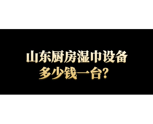 山東廚房濕巾設(shè)備多少錢一臺(tái)？
