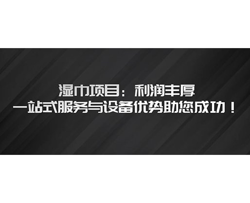 濕巾項(xiàng)目：利潤(rùn)豐厚，一站式服務(wù)與設(shè)備優(yōu)勢(shì)助您成功！